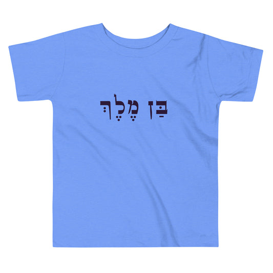 Ben Melech Toddler Boys Short Sleeve Tee