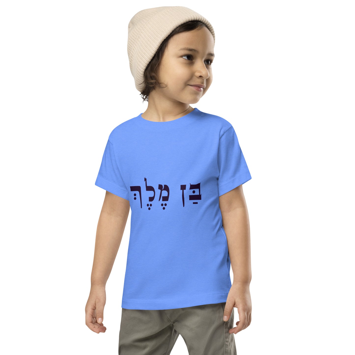 Ben Melech Toddler Boys Short Sleeve Tee